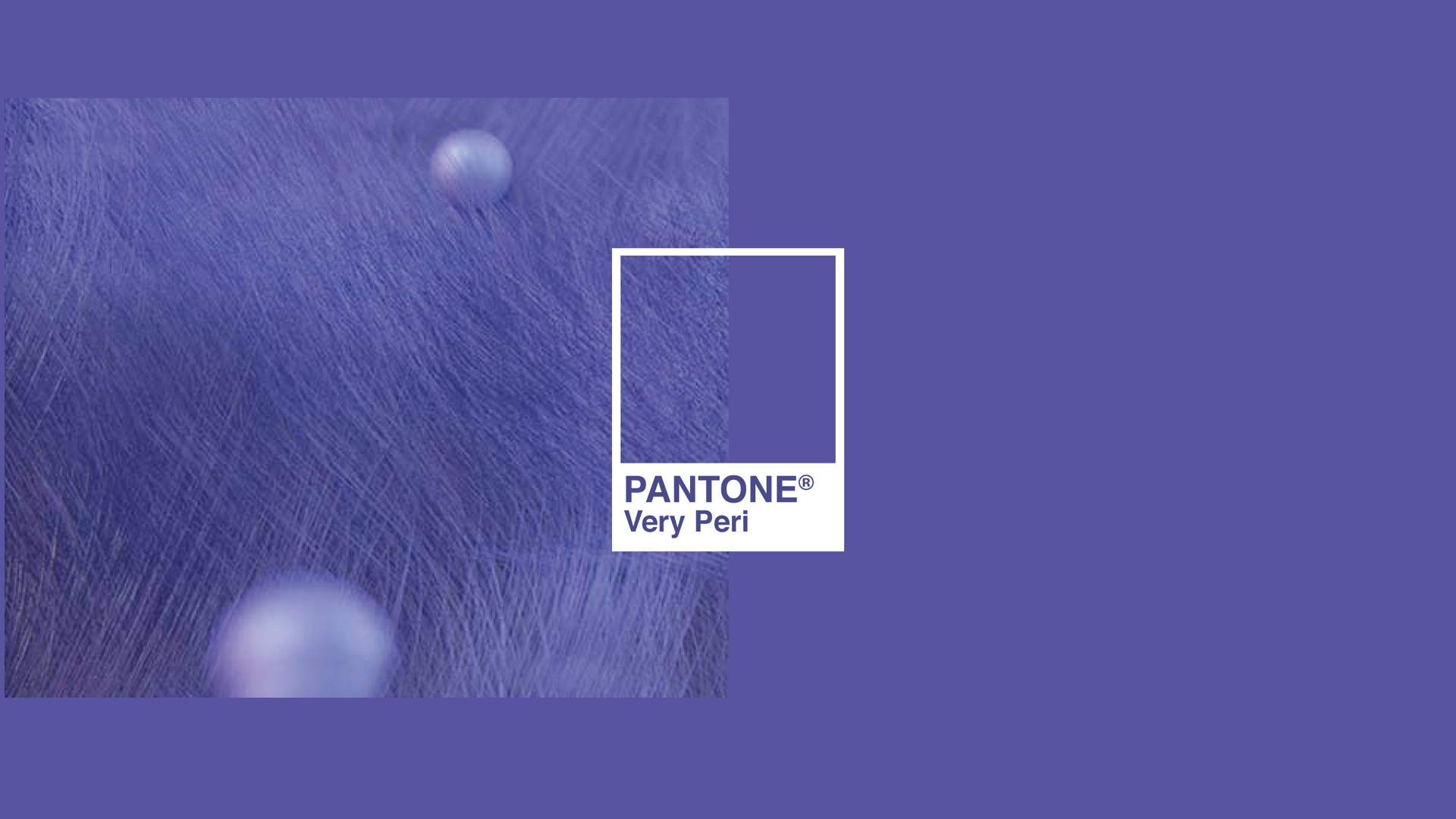 A cor de 2022 - PANTONE 17-3938 Very Peri 1